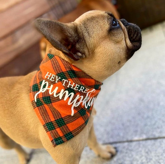 Doggie Bandanas